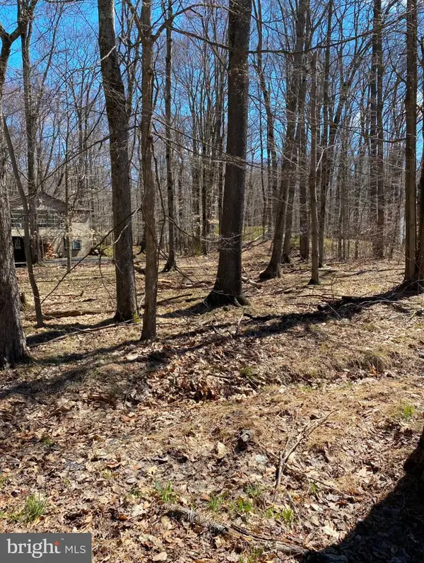 301 Tommy Ln, POCONO LAKE, PA 18347