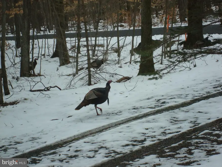 604/605 Wagner Way, Pocono Lake, PA 18347 - #3