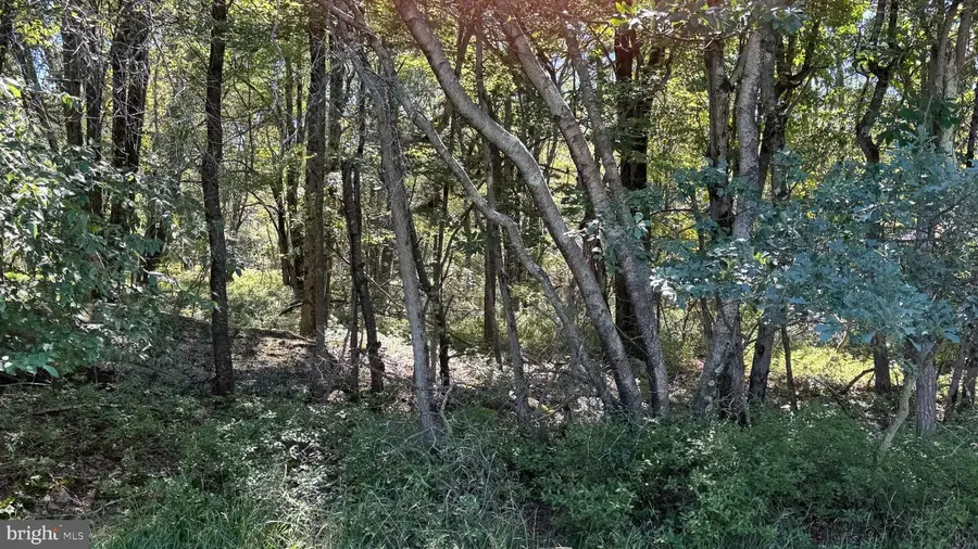 Lot 45 Elk Dr, Blakeslee, PA 18610 - #2