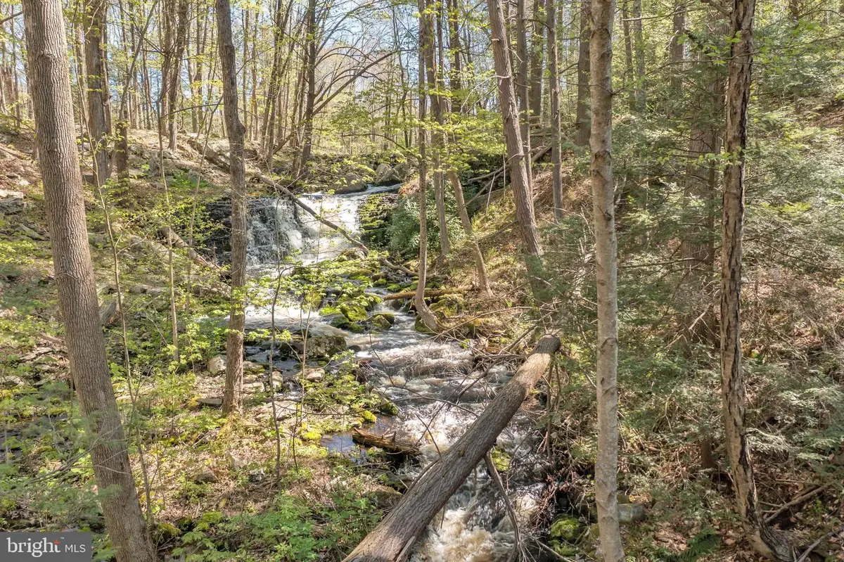 Serfas Drive, Stroudsburg, PA 18360 - #1