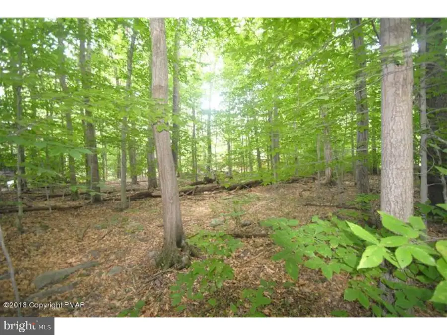 31-32 Sweet Briar Rd #unit 1 Sec 3, Pocono Pines, PA 18350 - #2