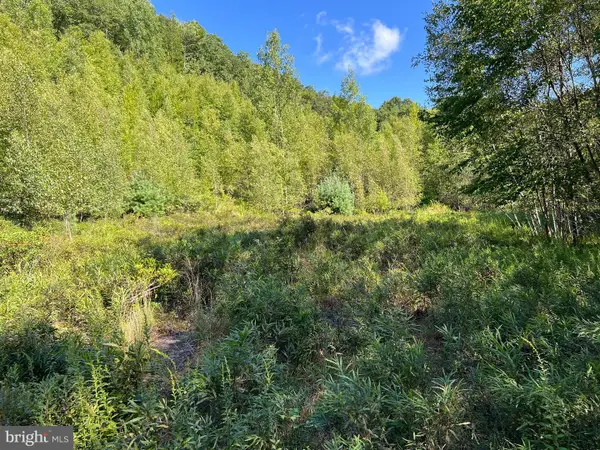 0 Lower Mountain Drive Lower Mountain Drive, EFFORT, PA 18330
