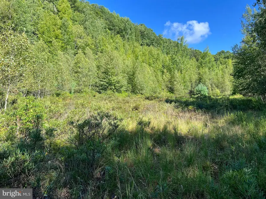 0 Lower Mountain Drive Lower Mountain Drive, Effort, PA 18330 - #2