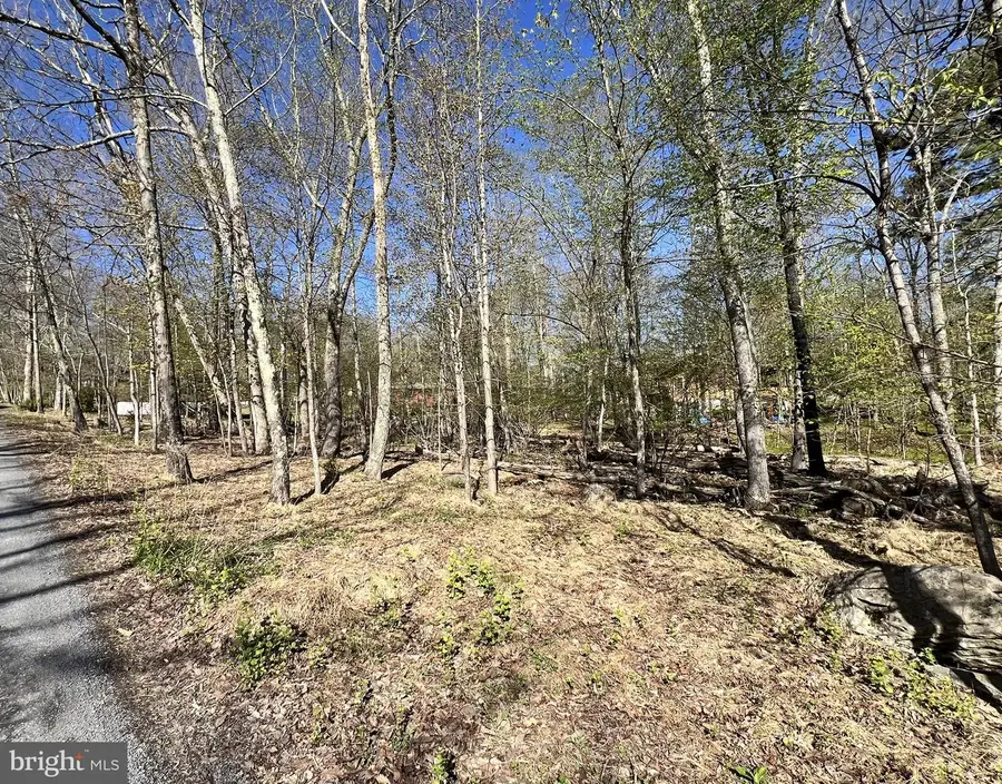 Chickadee Way, East Stroudsburg, PA 18302 - #3