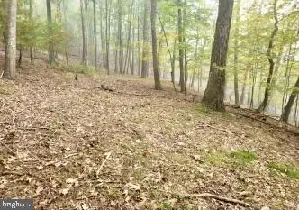 Lot 11, Section 10 Autumn Ct, East Stroudsburg, PA 18302 - #2