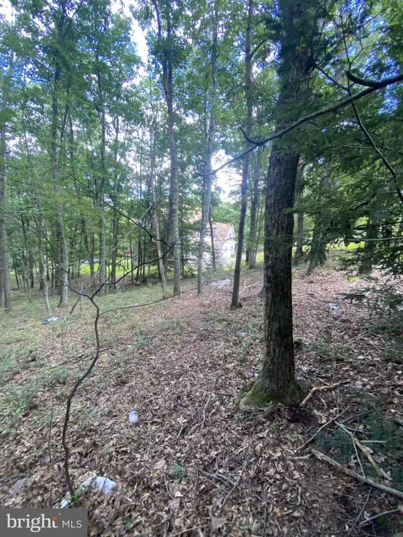 0 Rocky Mountain Dr, Effort, PA 18330 - #3
