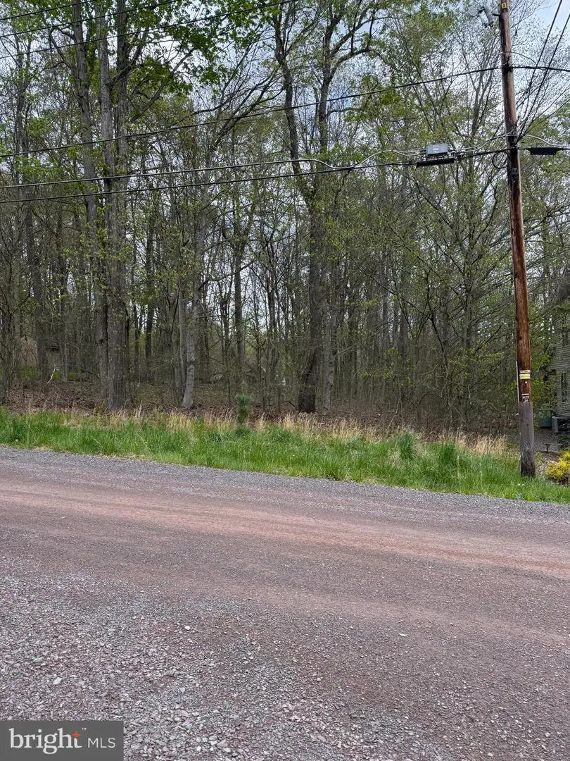 0 Winebago Dr2, Pocono Lake, PA 18347 - #1