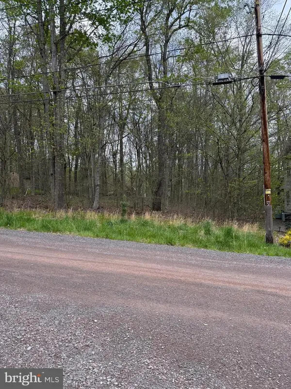 0 Winebago Dr2, POCONO LAKE, PA 18347