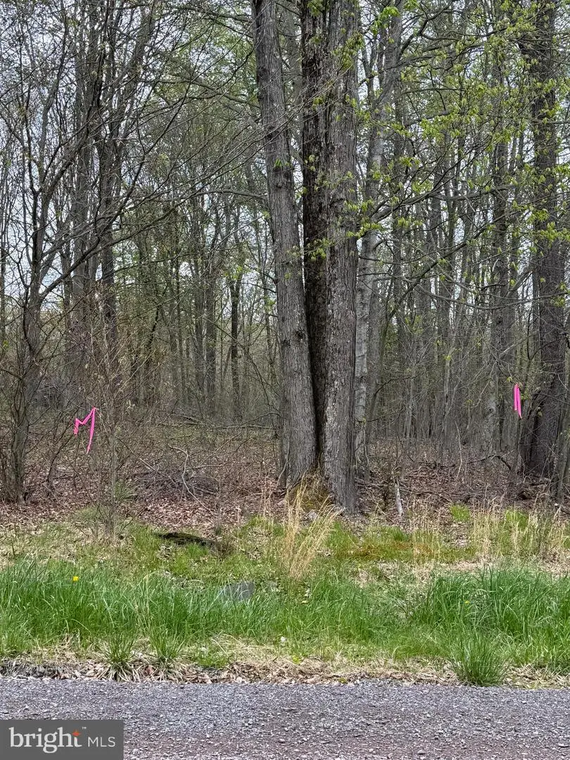 0 Winebago Dr2, Pocono Lake, PA 18347 - #2