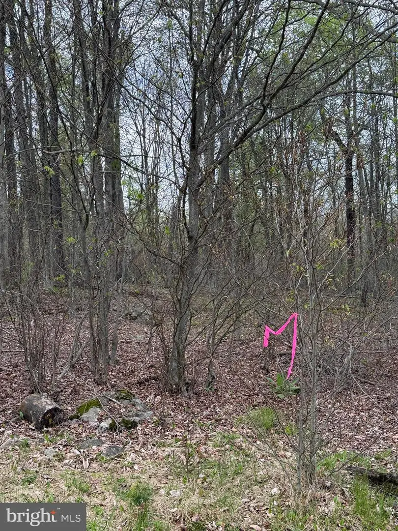 0 Winebago Dr2, Pocono Lake, PA 18347 - #3