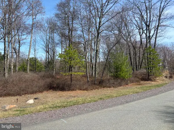 65a Wild Pine, POCONO PINES, PA 18350