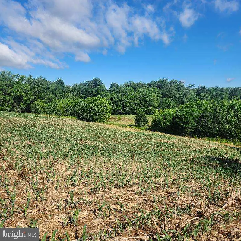 0 Vogt Rd, Milton, PA 17847 - Image #2