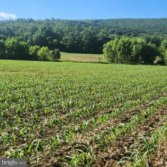 0 Vogt Rd, Milton, PA 17847 - Image #3
