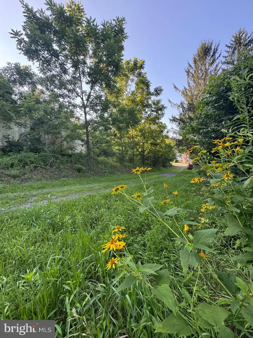 1666 Urban Rd, Herndon, PA 17830 - Image #2