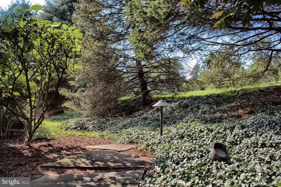 45 5th Ave, Elysburg, PA 17824 - Image #3