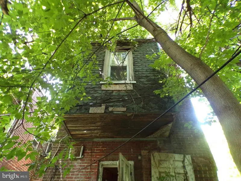 4629 N Marvine St, Philadelphia, PA 19140 - Image #3