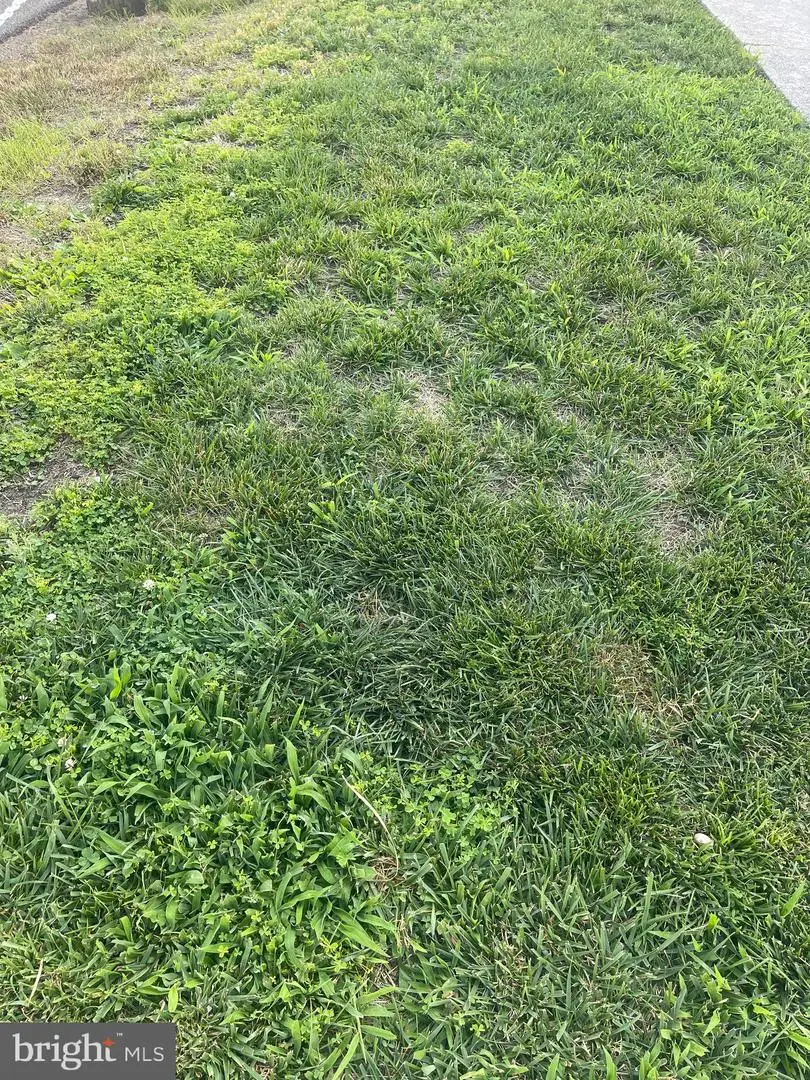 3149 N Stillman St, Philadelphia, PA 19132 - Image #1