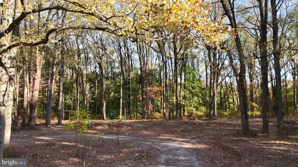 393 Port Royal Ave, Philadelphia, PA 19128 - Image #1