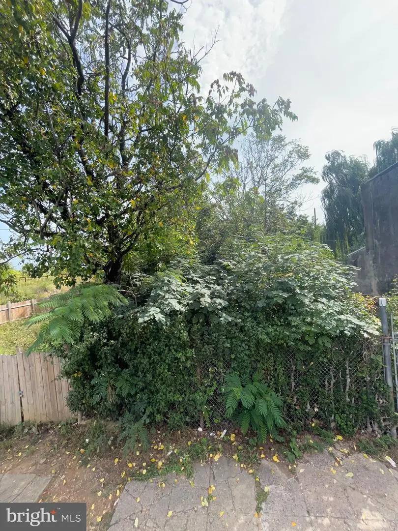 3027 N American St, Philadelphia, PA 19133 - Image #2