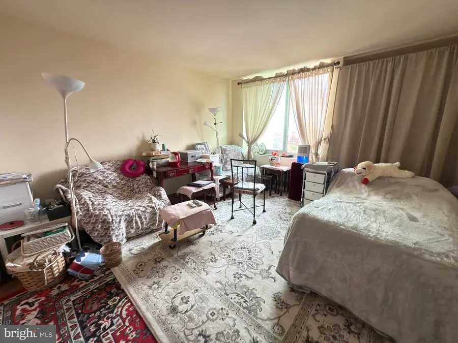 604-36-36 S Washington Sq #1013, Philadelphia, PA 19106 - Image #3