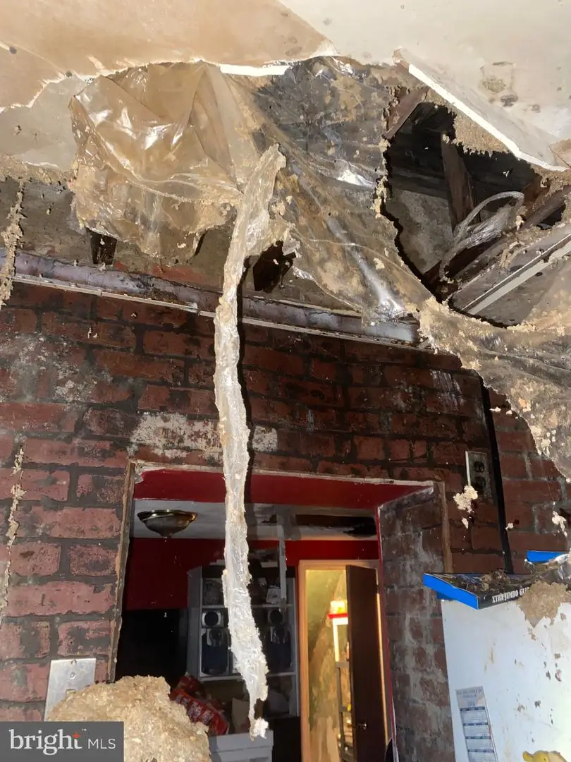 4955 Sheldon St, Philadelphia, PA 19144 - #3