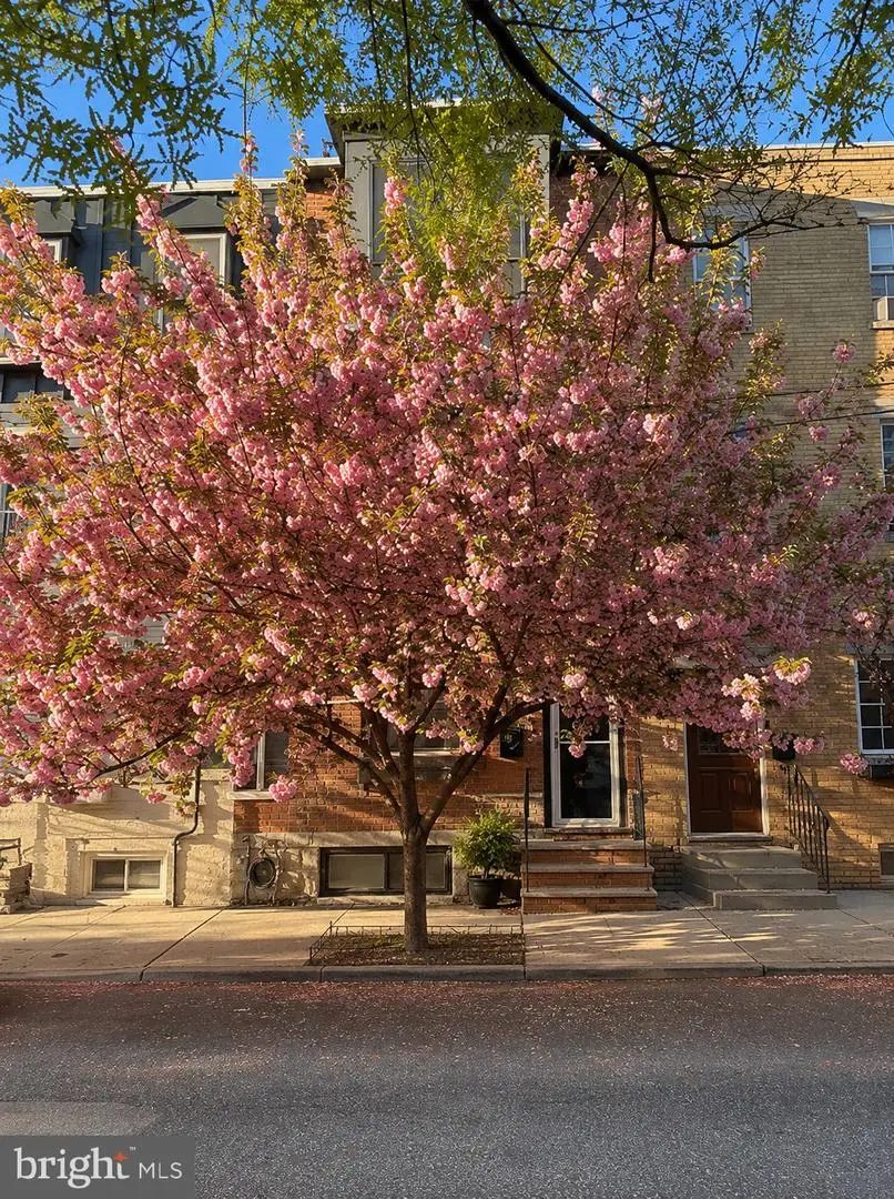 2404 Catharine St, Philadelphia, PA 19146 - #3