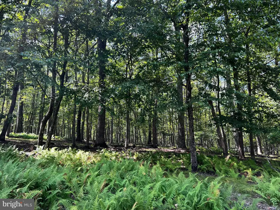 112 Spruce Court Lot 244, Lords Valley, PA 18428 - Image #2