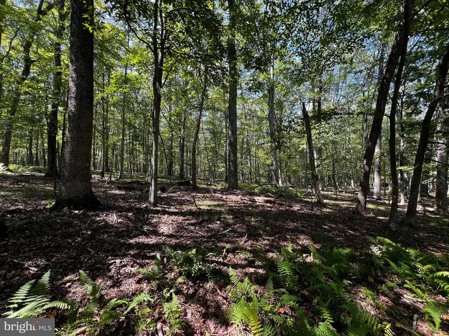 112 Spruce Court Lot 244, Lords Valley, PA 18428 - Image #3