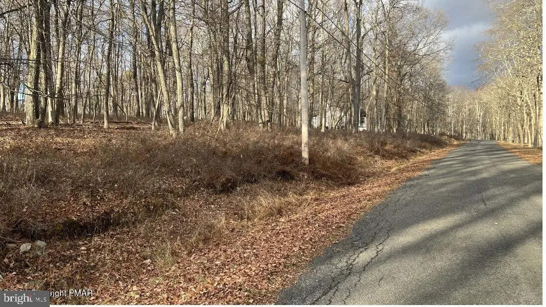 Lot 288 Doe Loop, Bushkill, PA 18324 - Image #1