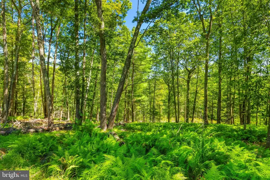 204 Shiny Mountain Road, Greentown, PA 18426 - Image #2