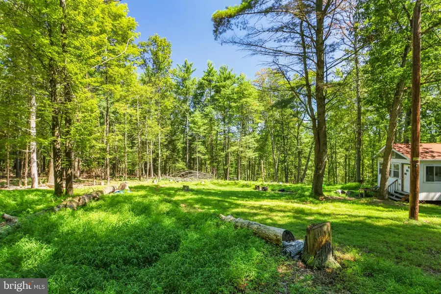 204 Shiny Mountain Road, Greentown, PA 18426 - Image #3