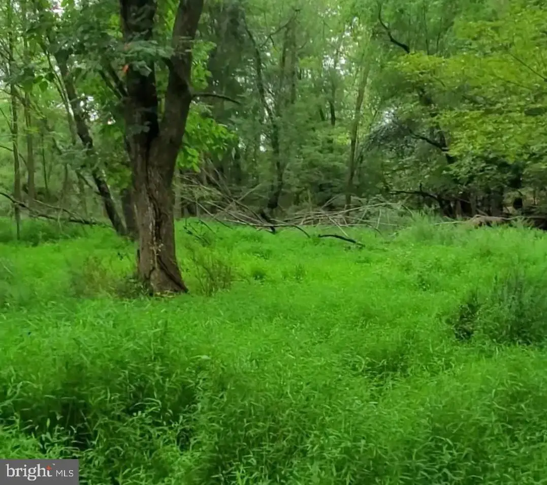 00 Mountain Avenue, Matamoras, PA 18336 - Image #1