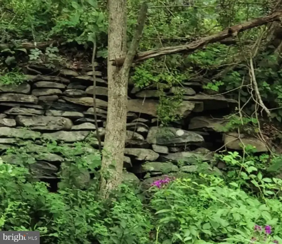 00 Mountain Avenue, Matamoras, PA 18336 - Image #3