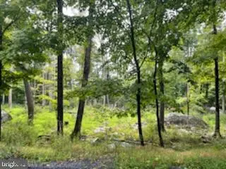 113 Falcon Crst, Greentown, PA 18426 - #1