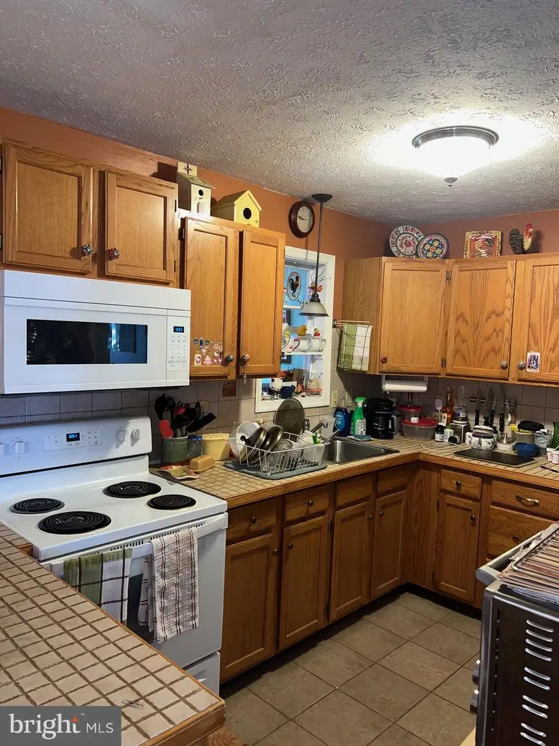 113 Bailey Dr, Bushkill, PA 18324 - #1