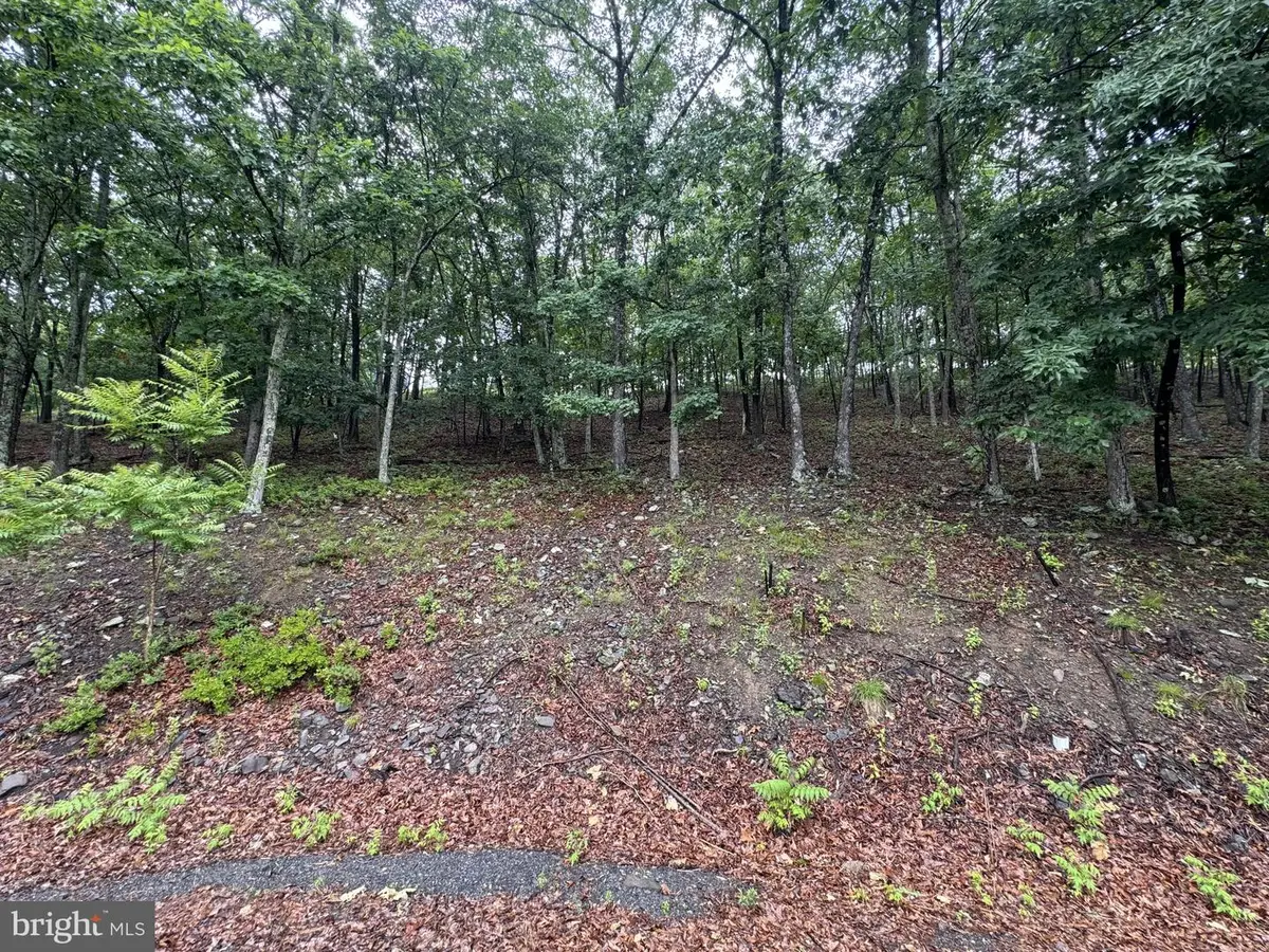 3437 Victoria Ct, Bushkill, PA 18324 - #1