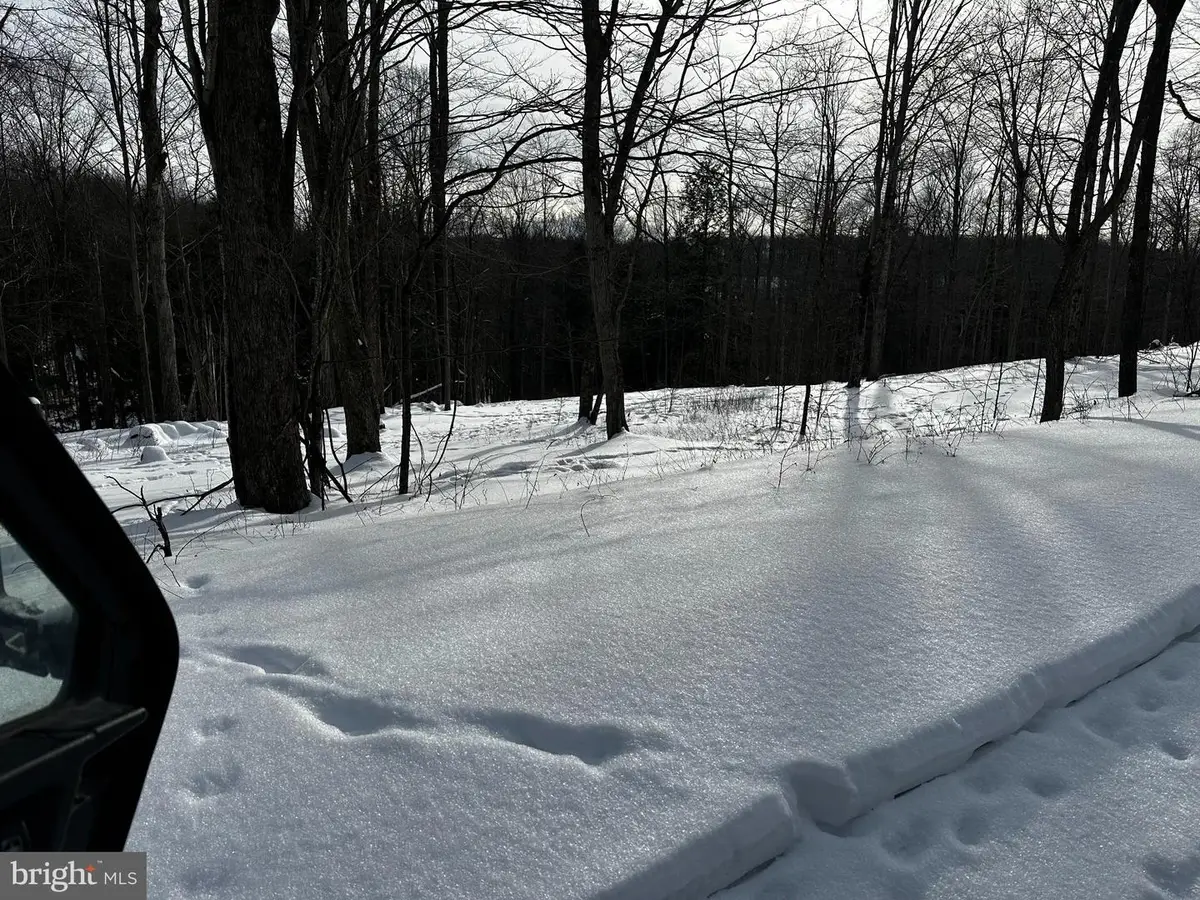 29 Melglen Ln, Coudersport, PA 16915 - #1