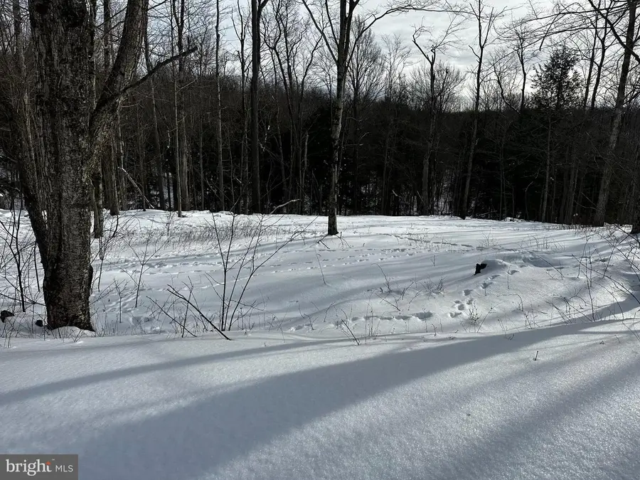 29 Melglen Ln, Coudersport, PA 16915 - #2