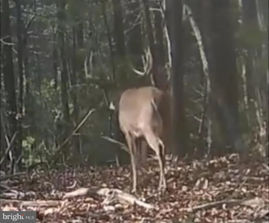 0-lot #2 Cornman Ln, Landisburg, PA 17040 - Image #3