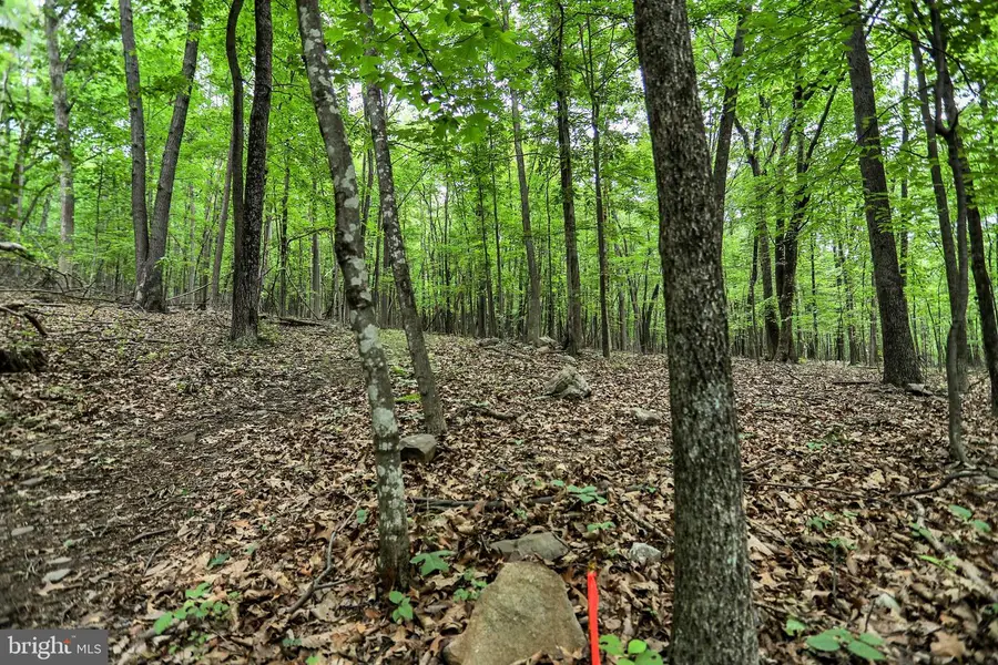 999 Bucks Valley Rd, Newport, PA 17074 - Image #2