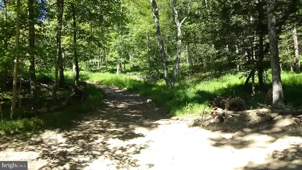 0 Veterans Way, ELLIOTTSBURG, PA 17024