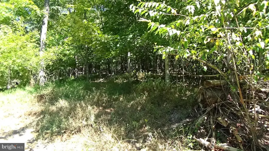 Lot # 1 Veterans Way, Elliottsburg, PA 17024 - Image #2