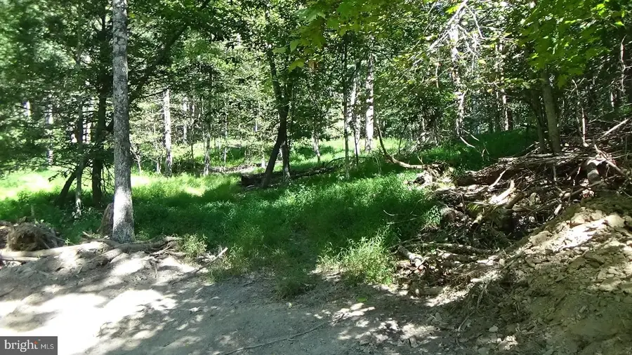 Lot # 1 Veterans Way, Elliottsburg, PA 17024 - Image #3