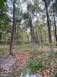 Lot 5 Clouser Hollow Rd, New Bloomfield, PA 17068 - Image #3