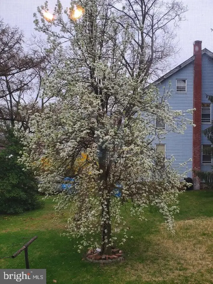 307 Maple Ave, Marysville, PA 17053 - #2