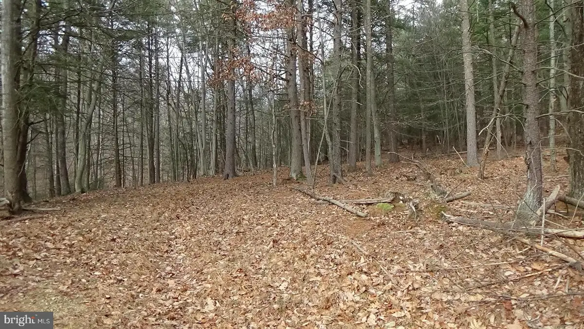 Lot 3 Veterans Way, Elliottsburg, PA 17024 - Image #1