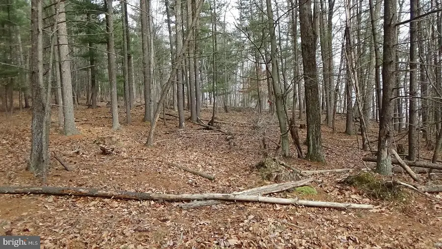 Lot 3 Veterans Way, Elliottsburg, PA 17024 - Image #2