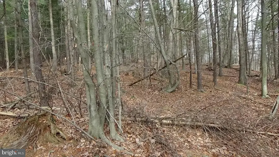 Lot 3 Veterans Way, Elliottsburg, PA 17024 - Image #3