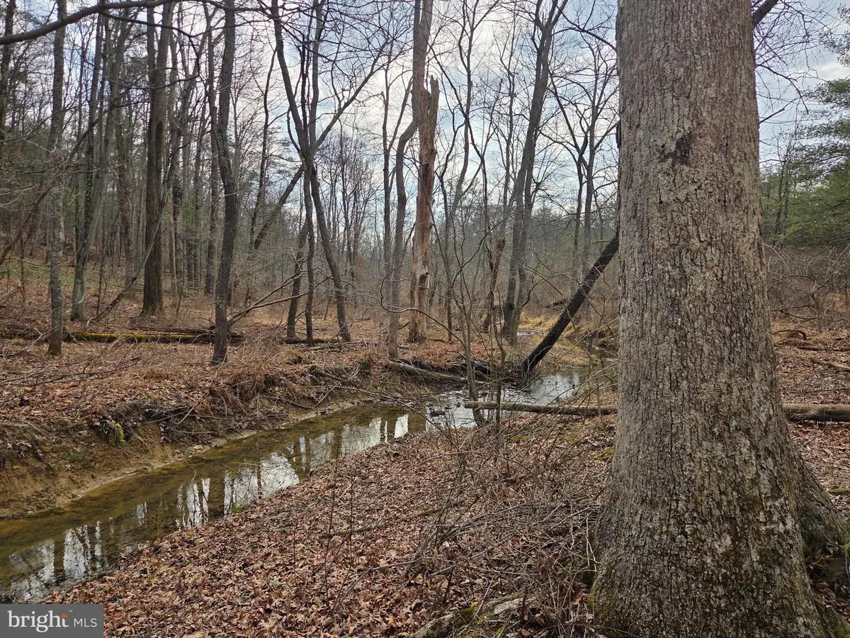 1237 Buckwheat Rd, Millerstown, PA 17062 - #1