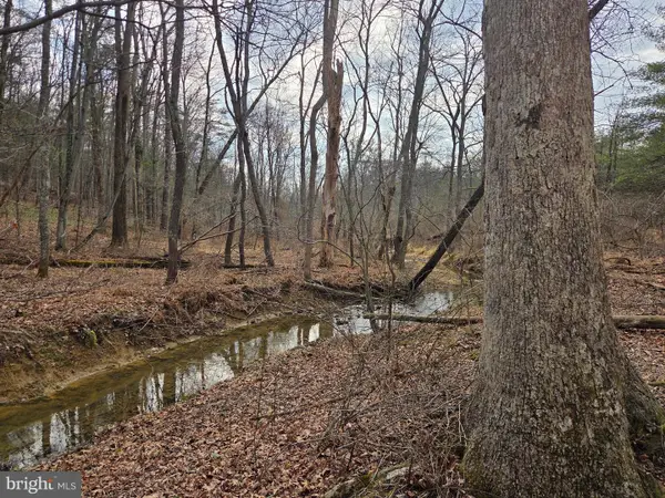 1237 Buckwheat Rd, MILLERSTOWN, PA 17062